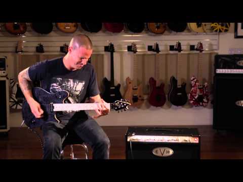 EVH Wolfgang WG Standard - Quicksilver image 8