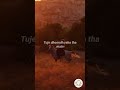Maahi Shaarib Toshi Song Music Love Lyrics Feedshorts Fyp Shorts Booktok Maahi Bollywood