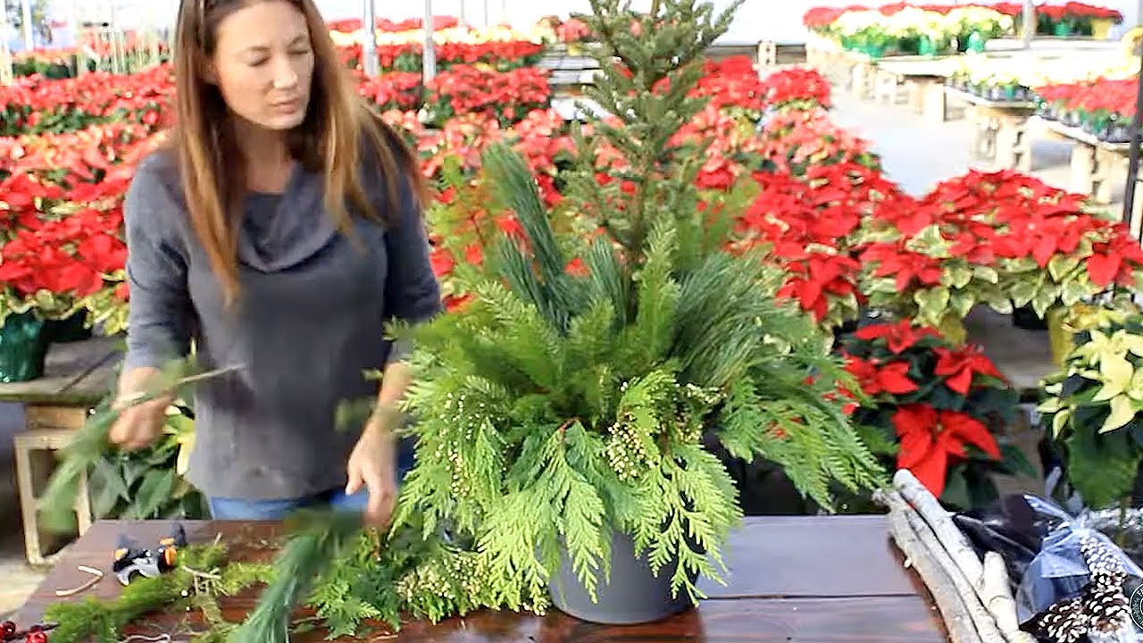 Creating a Beautiful Holiday Container