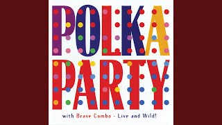Polka Medley: Tinker&#39;s Polka/Lichtensteiner Polka/Beer Barrel Polka/Pennsylvania Polka/Monday...