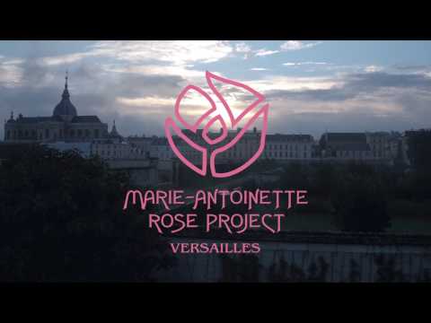 Maria Antonieta de NINA e Le Potager du Roi - A maior flor de origami - Recorde Mundial do Guinness