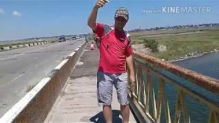 Креветка для ловли бычка