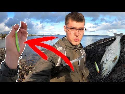 This bait drives sea trout crazy!! | Sea trout fishing from the shore