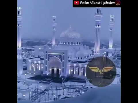 Eroll Rexhepi - 8 momentet kur melaiket luten për ty (Ligjeratë e fuqishme)