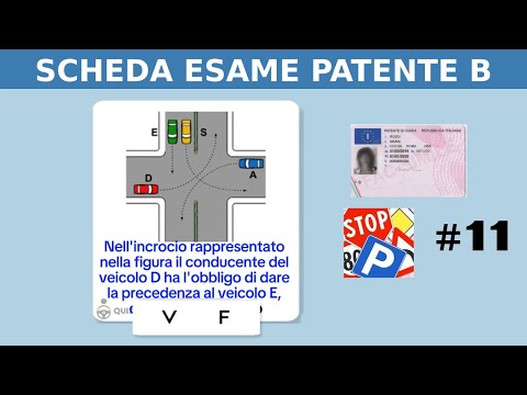 DRIVING LICENSE EXAM CARD B -2025- #11