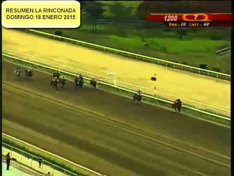 RESUMEN LA RINCONADA DOMINGO 18 ENERO 2015