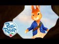 Peter Rabbit - Tales of Trouble | Rabbits Running Wild | Cartoons for Kids