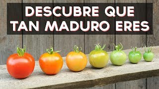 Eres una persona madura? Descubre qué tan maduro (o madura) eres con este divertido test! ↠↠ ¡No te olvides de suscribirte para no perderte ningún test! https://www.youtube.com/channel/UCE...