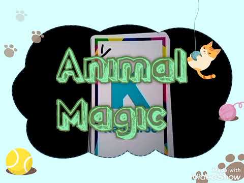 MAGIC ANIMAL PREDICTION TRICk...