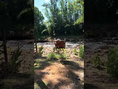 No maravilhoso Pitayas Eco em Morrinhos do Sul RS