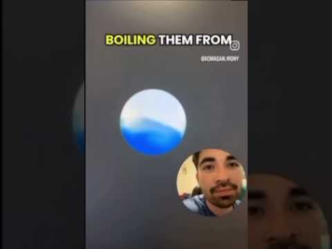 All he wanted was a cake man 😭😭 #viral #fyp