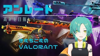 【valorant】仮受肉アンレ/G2　きむちこむ