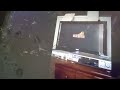 Imagemovers Playtone Warner Bros Pictures 2004