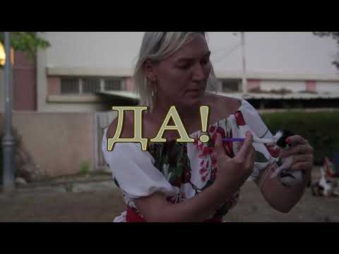 Жизнь кошек бесценна? Да! Бытие и трагедия кошек Ашдода. Репортаж и интервью с их покровительницами.