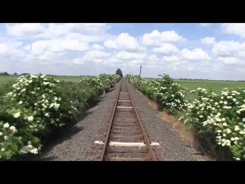 The Line Mezőhegyes - Mezőtúr (Nr. 125) - 2015