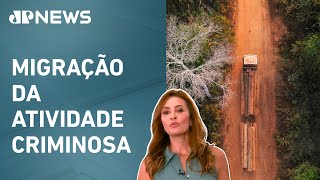 Miniatura do vídeo