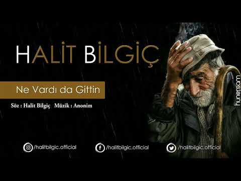 Halit Bilgiç - Ne Vardı da Gittin (Official Audio)
