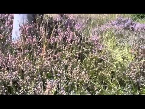 Cazare Zalau - Cazat.ro