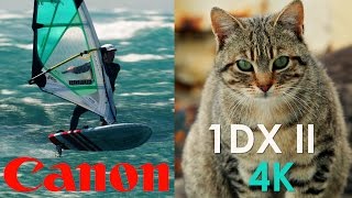 Video thumbnail for Canon EOS-1D X Mark II - First look in 4K | Video test. by Horue Movie