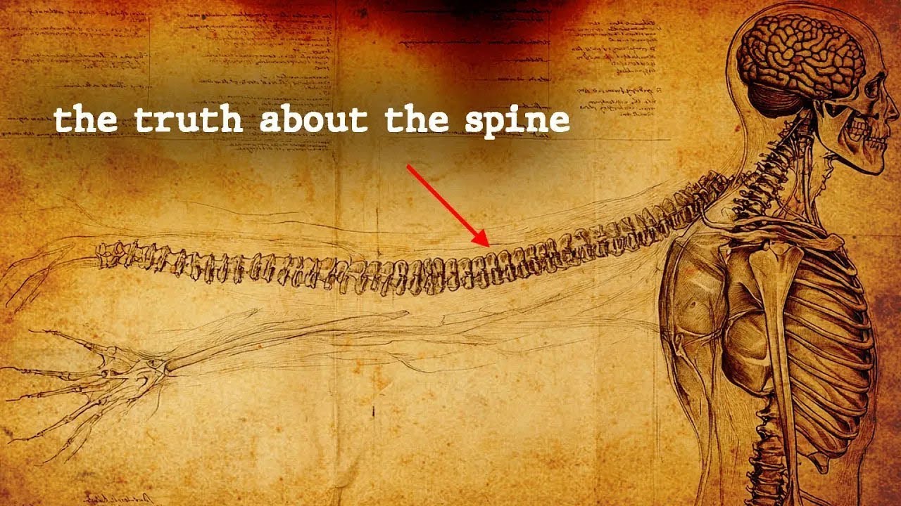 REVEALED: Hidden technique to Energy Control (it’s in your spine)
