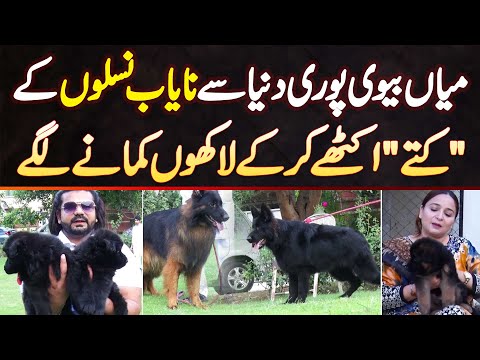 Unique Breeds Ke Dogs Ka Successful Business Karne Wala Couple