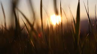 Download lagu Latch Tiktok Remix 30-minute loop mp3 Download lagu Latch Tiktok Remix 30-minute loop mp3