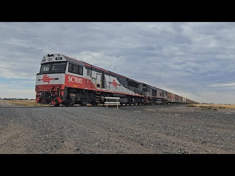 1PM9 SCT up "Dark Ghost" (SCT015+CSR022, 48P), Forrestfield-Laverton, 1050, 29/1/26, Jung West VIC 