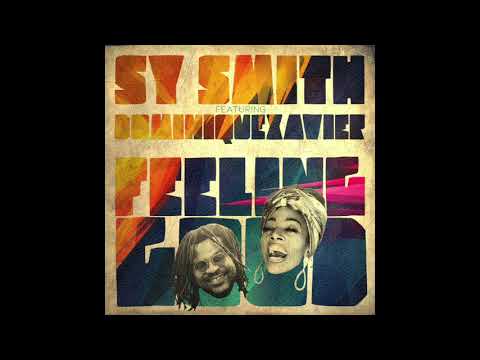 Sy Smith - Feeling Good feat. DominiqueXavier