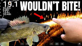 We FINALLY Figured Out These Impossible Walleyes!