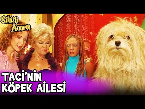 Taci'nin Köpek Kızı Ortaya Çıktı! - Sihirli Annem Özel Klip