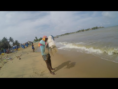 Catching tones of Fish by casting net in beach