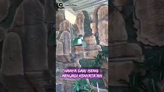 Download lagu singgah bumi arema 🤗🤗🤗 mp3