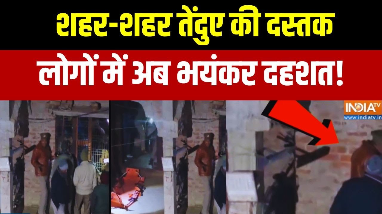 Big Breaking News: शहर-शहर तेंदुए की दस्तक... लोगों में दहशत | Exclusive Repor