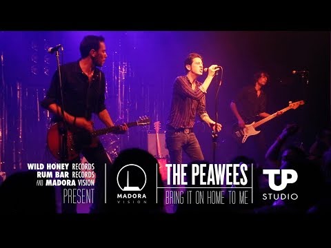 The Peawees - Bring It On Home To Me (Sam Cooke)