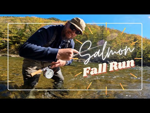 Fishing for ATLANTIC SALMON on the SPEY ROD - The Fall Chase - MARGAREE River's SKYE & WARDS pools
