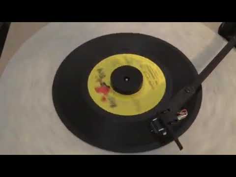 The Shangri-La's Leader of the Pack 45