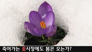 최악으로 치닫고 있는 우리나라 화훼시장, 일어나라 꽃들이여.