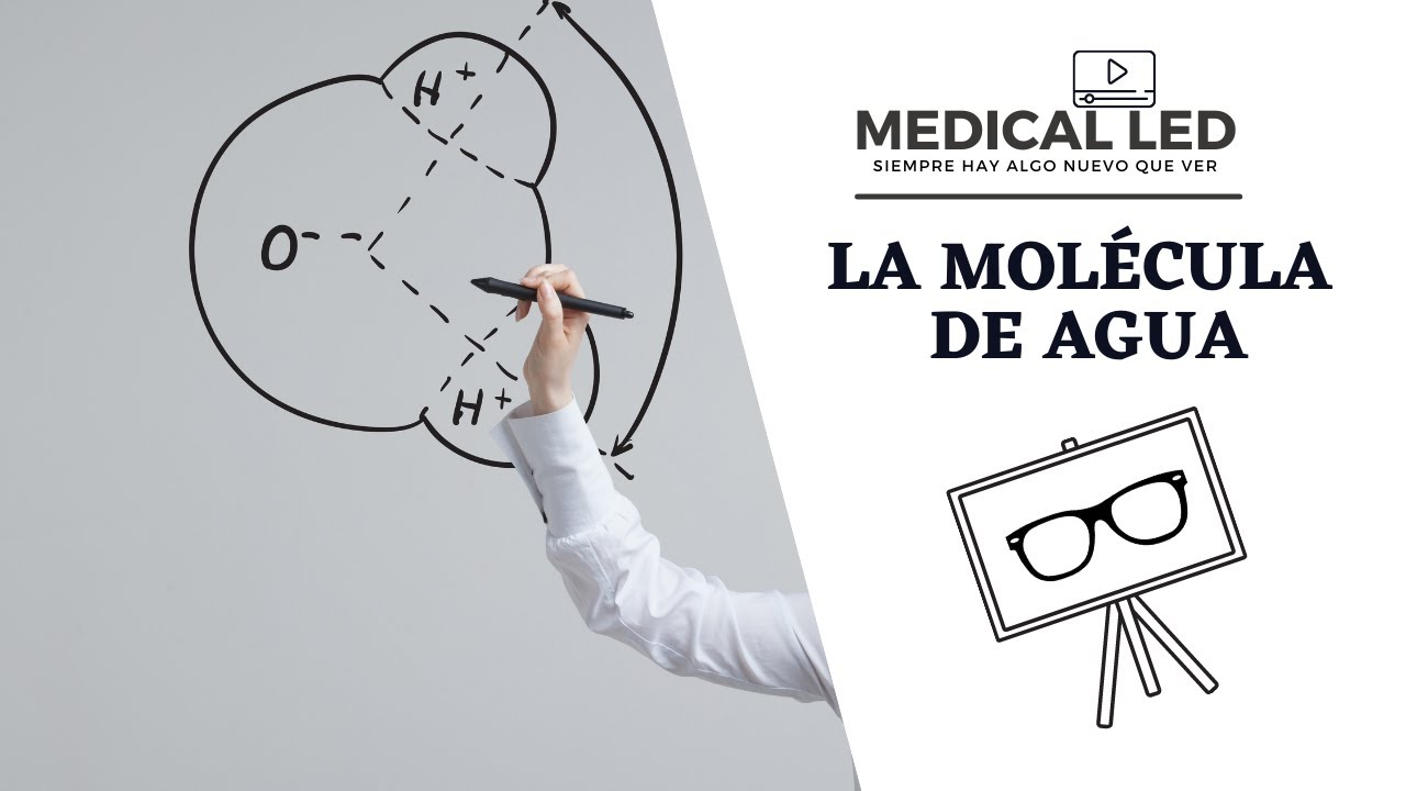 LA MOLÉCULA DE AGUA: Estereoquímica, propiedades y puentes de hidrógeno