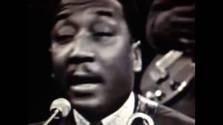 Damn, muddy waters just can't win. "Got my mojo workin' it just don't work on you..." I know that...