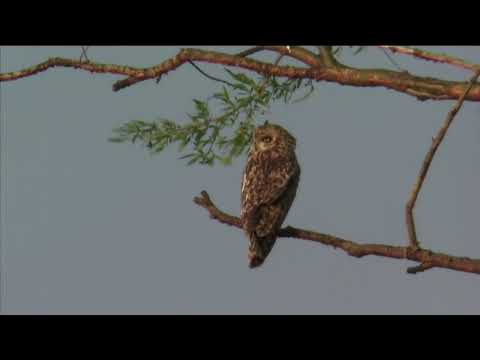 Fx 166 3 Handsag 31 03 2023