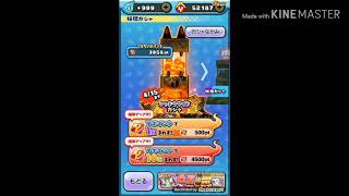 【ぷにぷに】10連分しかなかった💦