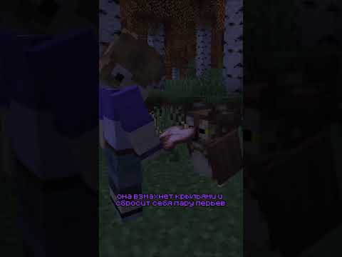 Шокирующий ролик: Совы в Minecraft!