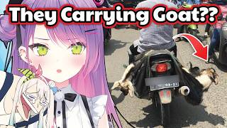Towa got culture shock in Indonesia seeing people carrying Goats in Motorcycle...