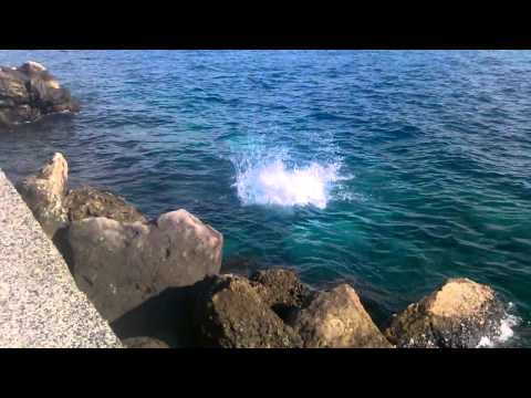 asim in red sea tabuke saudia