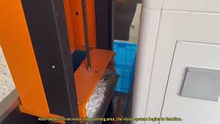 visual counting and packing machine