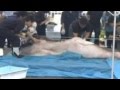 Rare megamouth shark caught off Japan - YouTube