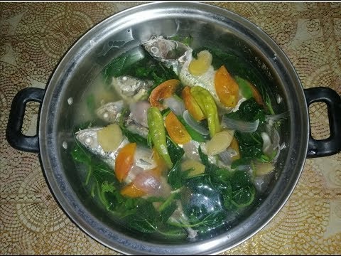 download lagu mp3 mp4 Sinabawang Isda With Kangkong, download lagu Sinabawang Isda With Kangkong gratis, unduh video klip Sinabawang Isda With Kangkong