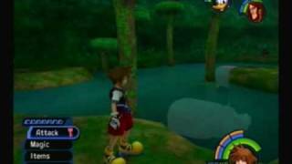Kingdom Hearts Part 18 Deep Jungle - Hippos and Vines
