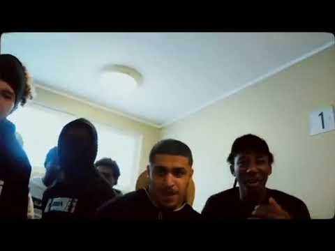 Tcha Tchi Tchi Alrima