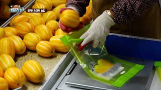 데일리팜, 클릭! 스마트 농업 AI가 참외 당도까지 척척! 성주월항농협 인공지능 선별기 현장